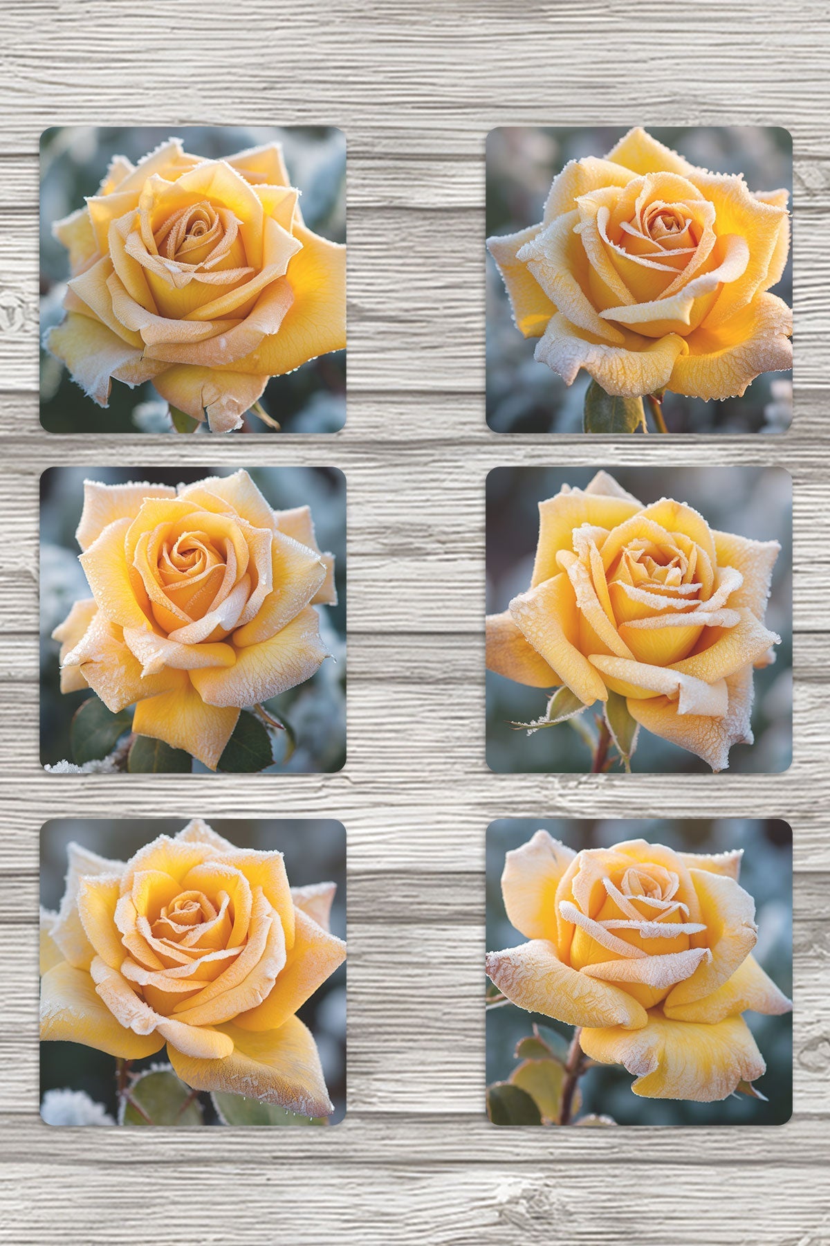 Donmuş Sarı Güller Baskılı 6'lı Set Dekoratif Ahşap Kare Bardak Altlığı