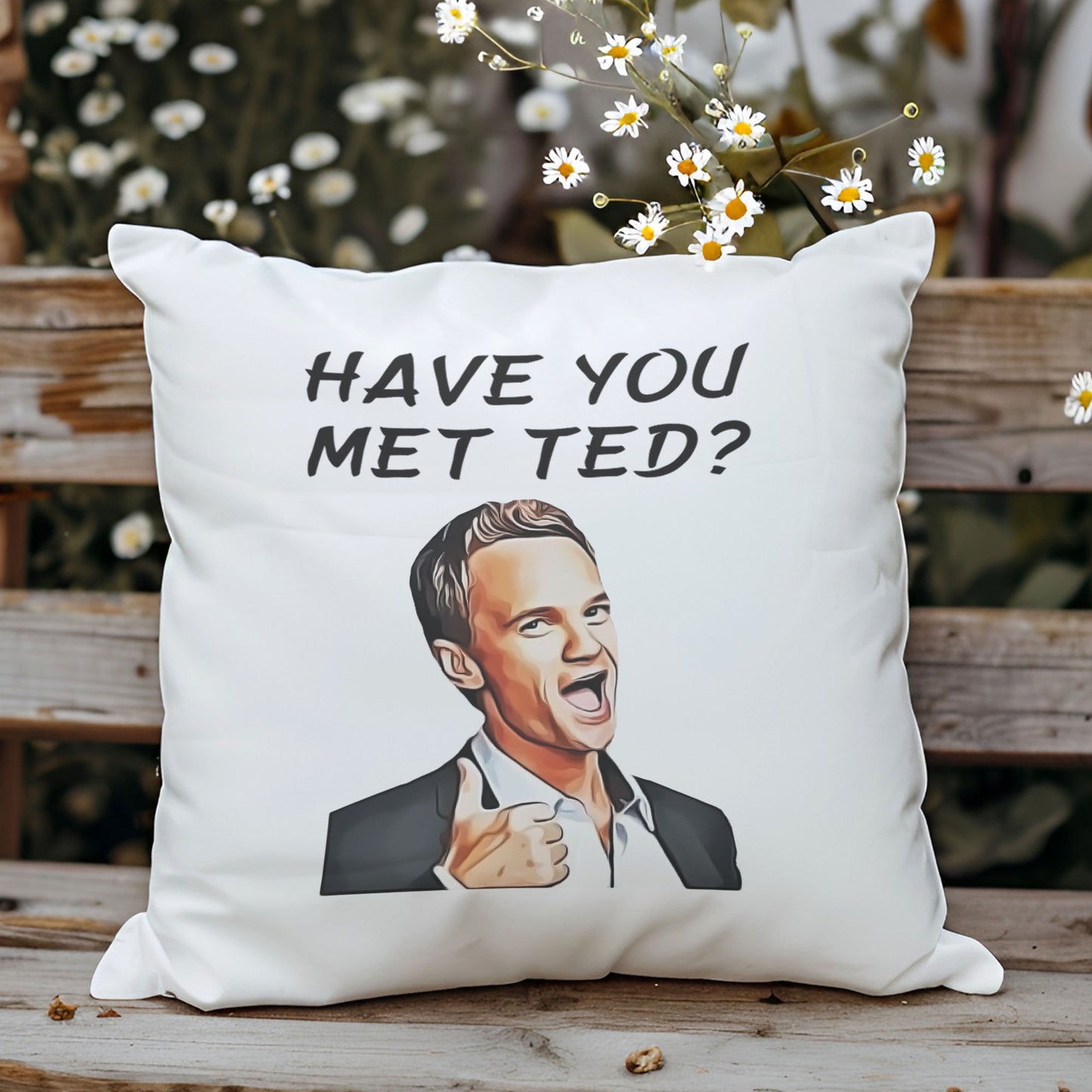 have-you-met-ted-how-ı-met-your-mother-baskili-elyaf-dolgulu-hediyelik-yastik