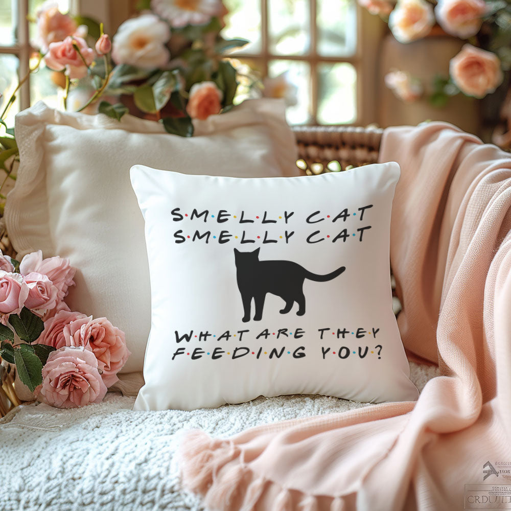 smelly-cat-baskili-friends-hediyelik-elyaf-dolgulu-dekoratif-yastik