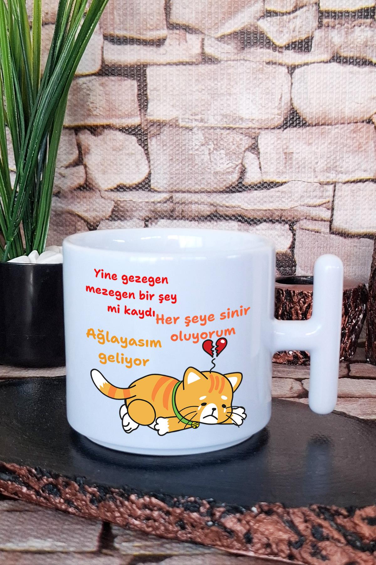 Ağlayasım Geliyor Baskılı Eğlenceli Hediyelik T Kulplu Latte Fincanı Kupa Bardak