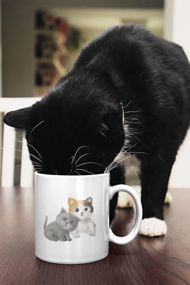 Masum Kedi Baskılı Beyaz Kupa Bardak