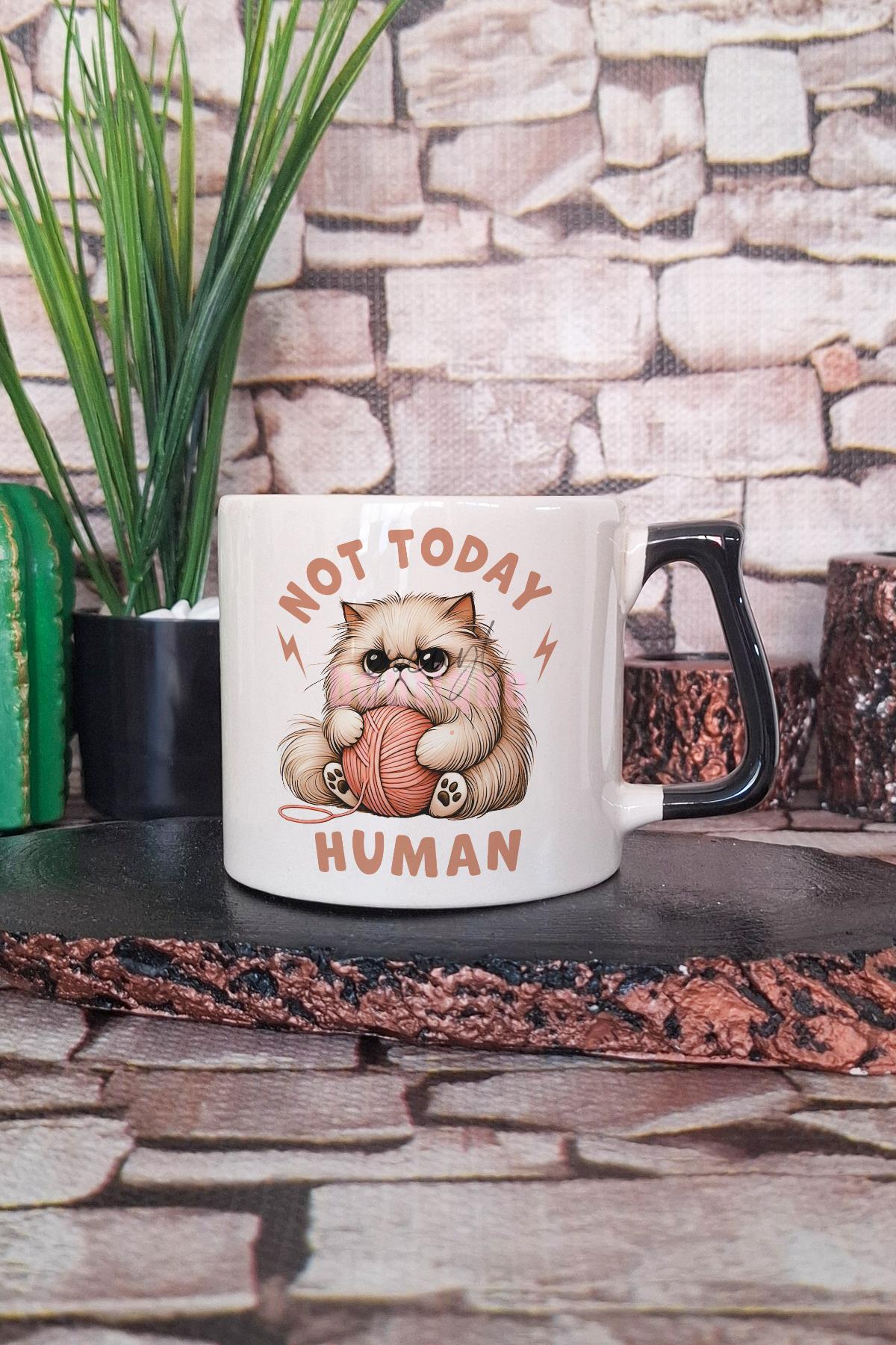 Not Today Human Baskılı Komik Kedi Kedisever Hediyelik Kulplu Kupa Bardak