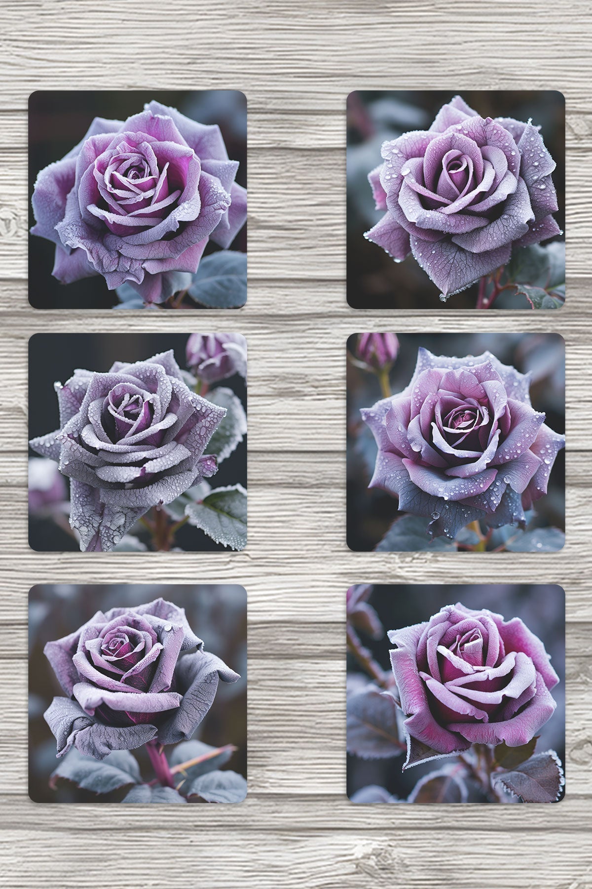 Donmuş Mor Güller Baskılı 6'lı Set Dekoratif Ahşap Kare Bardak Altlığı