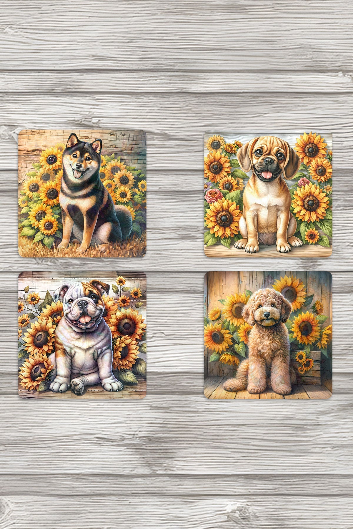 Sevimli Cins Köpekler Baskılı 4'lü Set Dekoratif Ahşap Kare Bardak Altlığı