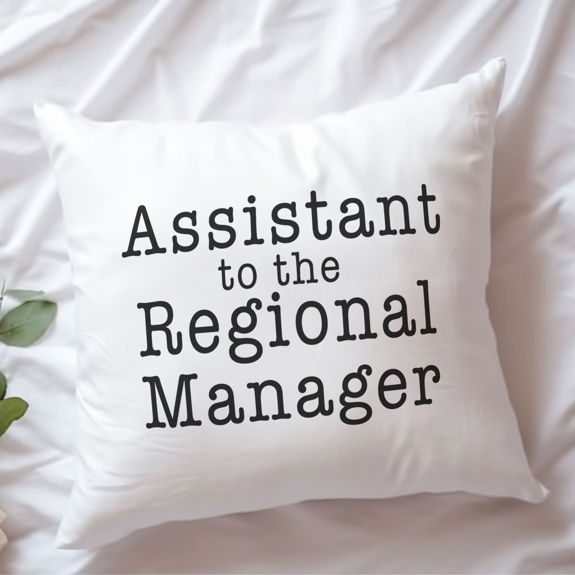 assistant-to-the-regional-manager-baskili-the-office-hediyelik-elyaf-dolgulu-dekoratif-yastik