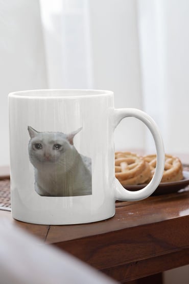 Ağlayan Kedi Meme Eğlenceli Komik Hediye Baskılı Kupa Bardak