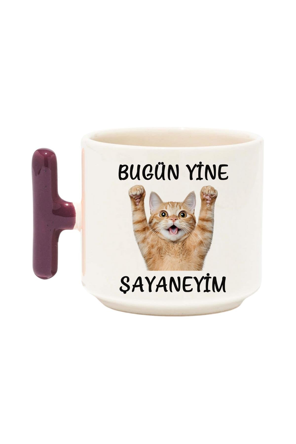 Bugün Yine Şahaneyim-Komik Kedi Baskılı Komik T Kulp Latte Fincanı Kupa Bardak