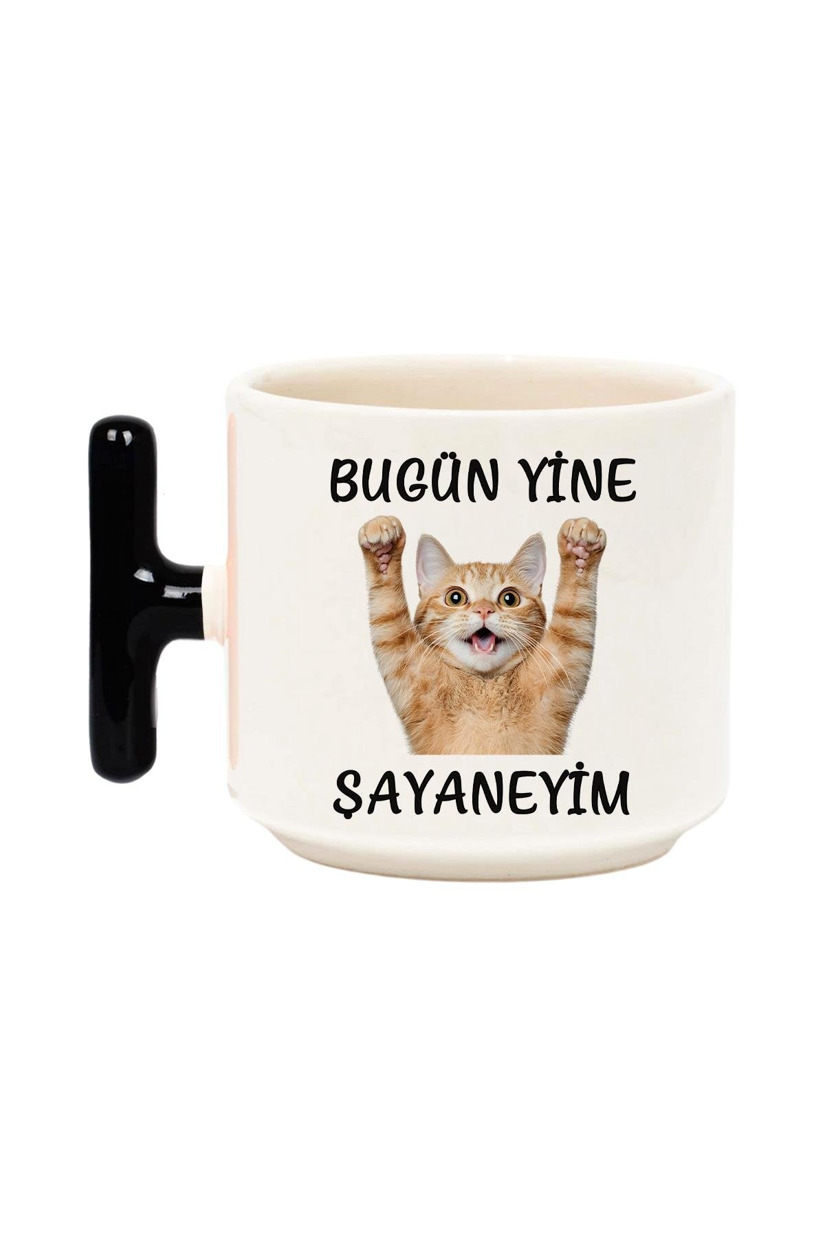 Bugün Yine Şahaneyim-Komik Kedi Baskılı Komik T Kulp Latte Fincanı Kupa Bardak