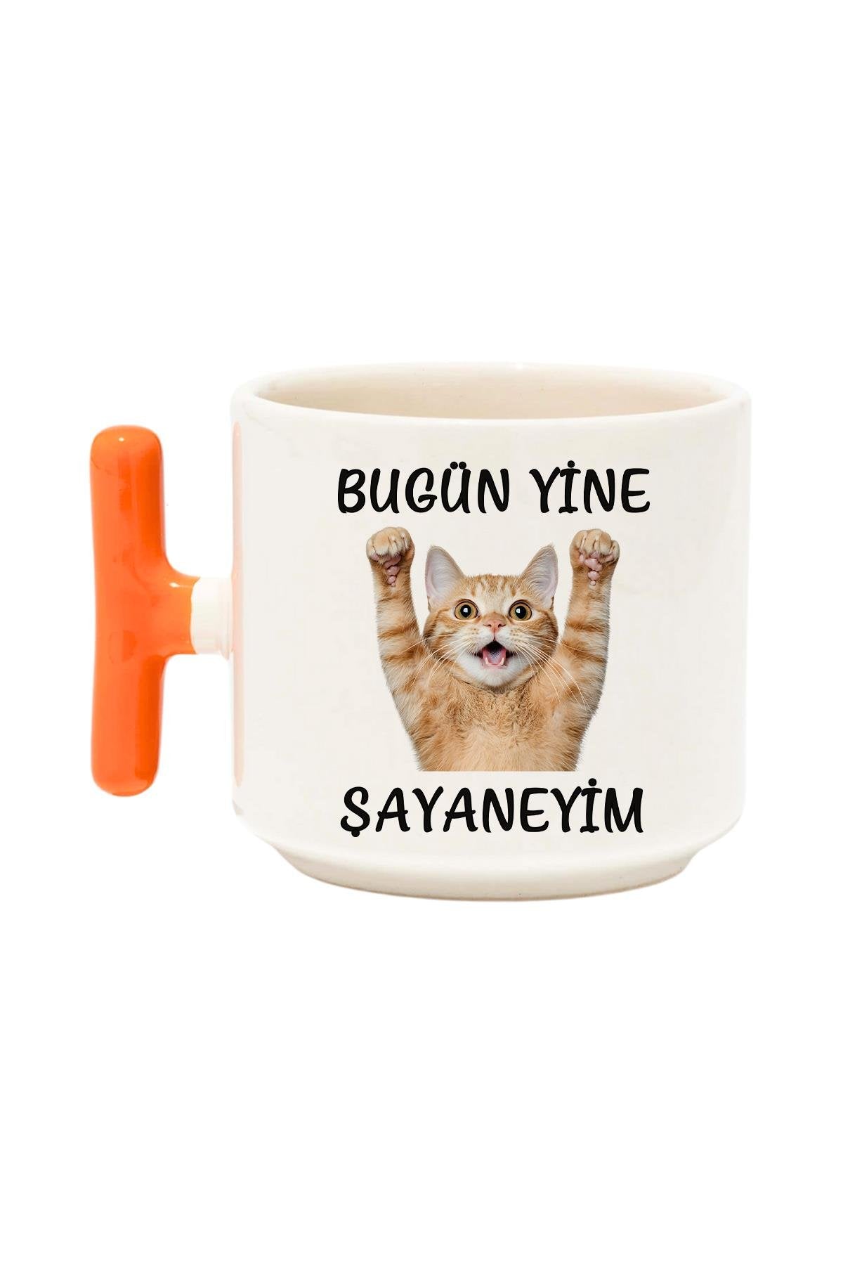 Bugün Yine Şahaneyim-Komik Kedi Baskılı Komik T Kulp Latte Fincanı Kupa Bardak