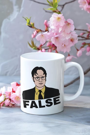 False Dwight Schrute The Office Baskılı Kupa Bardak