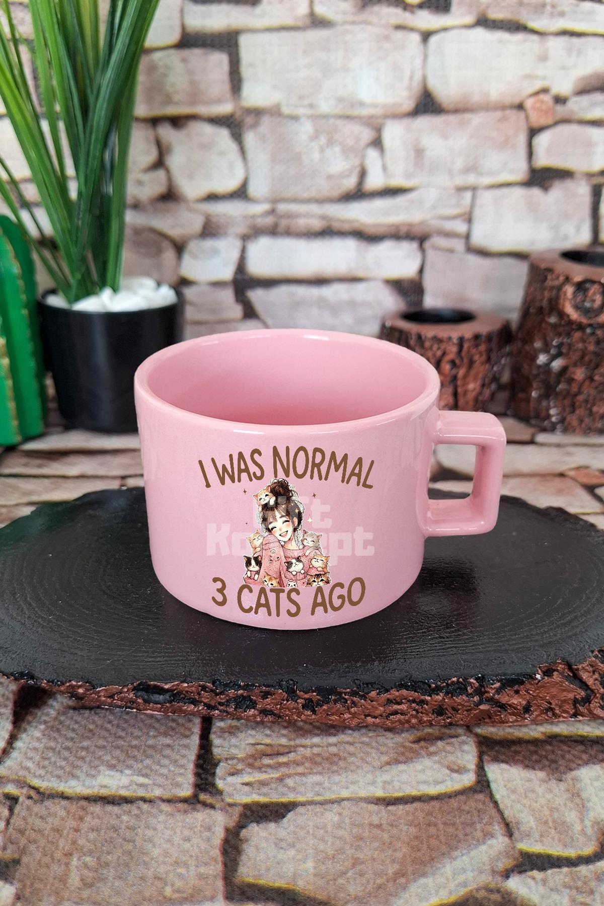 I Was Normal 3 Cats Ago Temalı Komik Kedi Sahibi Mizahı Kare Kulplu Fincan Mavi Kupa Bardak