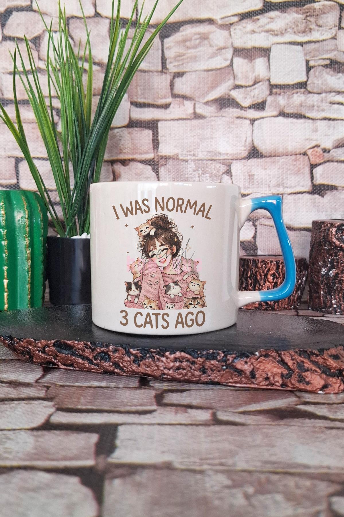 I Was Normal 3 Cats Ago Temalı Komik Kedi Sahibi Mizahı Hediyelik Kulplu Kupa Bardak