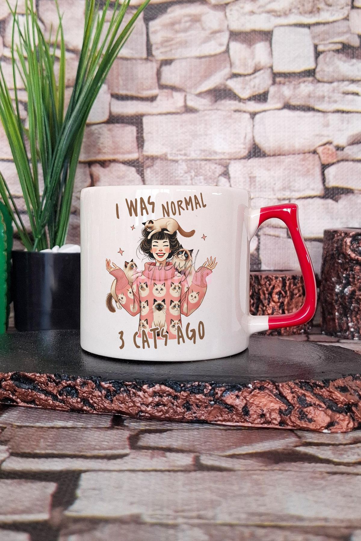 I Was Normal 3 Cats Ago Yazılı Komik Kedi Sahibi Esprisi Hediyelik Kulplu Kupa Bardak
