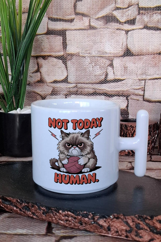 Kedi Komik Esprili Kedisever Eğlenceli Hediyelik Baskılı T Kulplu Latte Fincanı Kupa Bardak