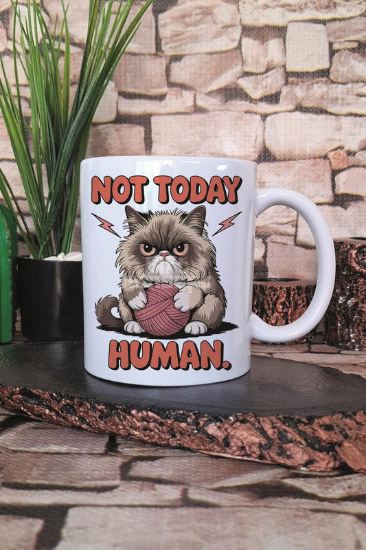 Kedi Komik Esprili Kedisever Kedi Sahibi Eğlenceli Hediyelik Baskılı Çay Kahve Sunum Kupa Bardak