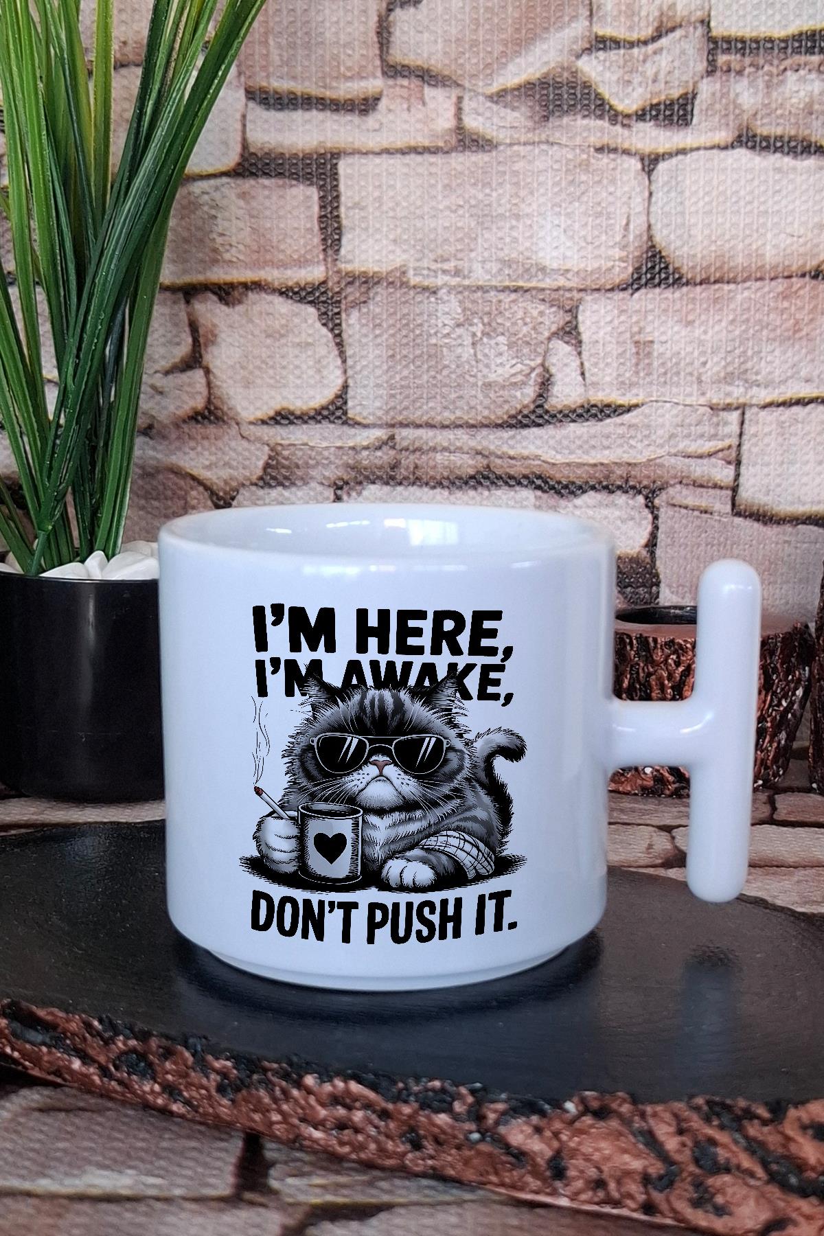 Kedi Komik Esprili Kedisever Lezzet Düşkünü Hediye Baskılı T Kulplu Latte Fincanı Kupa Bardak