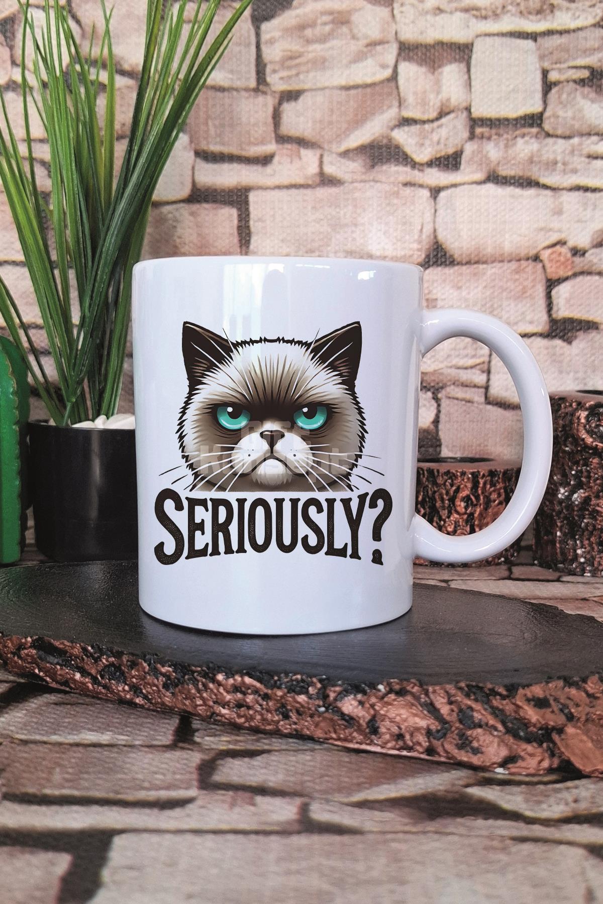 Kedi Komik Renkli Esprili Kedisever Kedi Sahibi Hediyelik Baskılı Çay Kahve Sunum Kupa Bardak