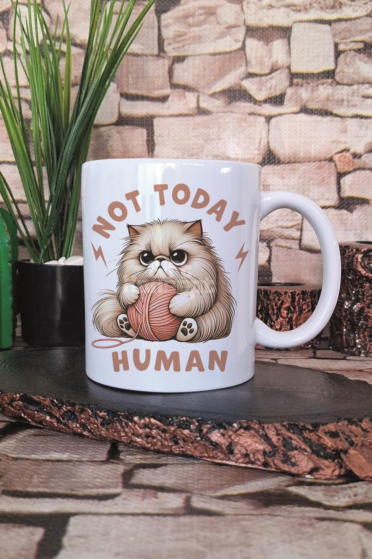 Not Today Human Baskılı Komik Kedi Kedisever Hediyelik Baskılı Çay Kahve Sunum Kupa Bardak
