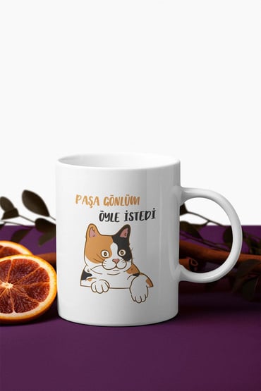 Paşa Gönlüm Öyle İstedi-3-Kedi Baskılı Hediyelik Eğlenceli Beyaz Seramik Kupa Bardak