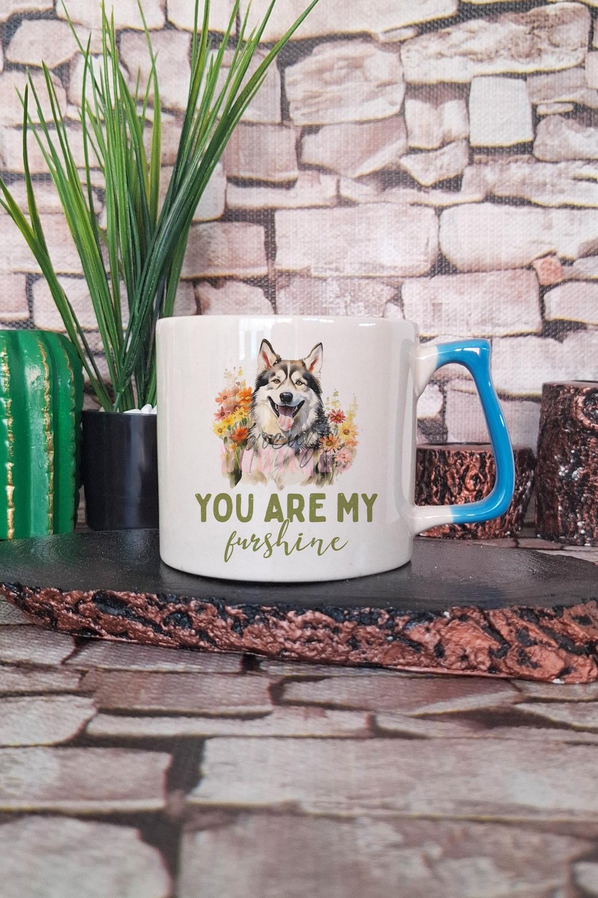 You Are My Sunshine Baskılı Köpeksever Hediyelik Kulplu Kupa Bardak